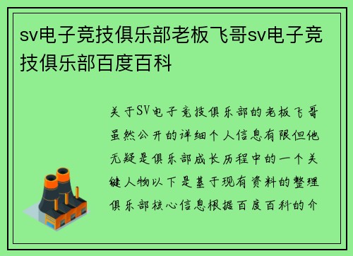 sv电子竞技俱乐部老板飞哥sv电子竞技俱乐部百度百科